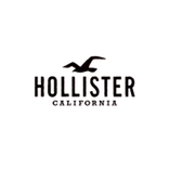 Hollister Co.