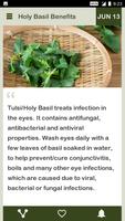 Holy Basil Daily syot layar 1