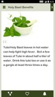 Holy Basil Daily syot layar 2