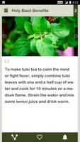 Holy Basil Daily syot layar 3