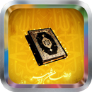 Holy Quran Mishary Al Afasy APK