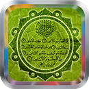 Holy Quran Nasser Al Qatami APK