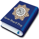 APK Quran Sharif, Quran Sharif Pro, Learn Quran No Ads