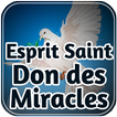 Esprit Saint -Don des Miracles icon