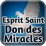 Esprit Saint -Don des Miracles