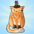 Cat Games