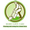 Home lawn care icon