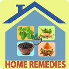 Home Remedies ícone