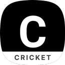 APK Easy Cricket