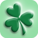 Home & Away Car Service APK