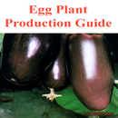 Egg Plant Production Guide for Tropical Regions APK