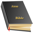 Teso Bible Free Offline accessible icône