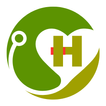 Homeopathy Doctor and Remedies icon