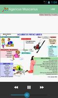 Homeopathic MMLive Pro تصوير الشاشة 3