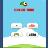 Culuk Bird / 庫魯克鳥