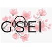 GSEI Radio icon