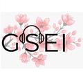 GSEI Radio
