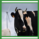Cattle Management App APK