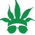 CannaBuzz