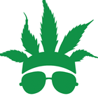 CannaBuzz icono