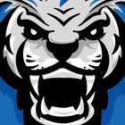 Lions Nation Unite आइकन