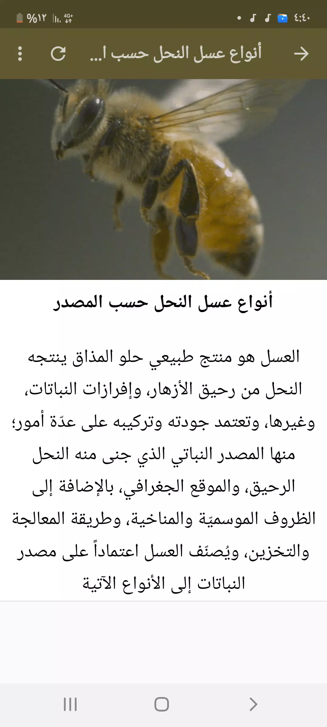 معلومات عن العسل والنحل APK voor Android Download