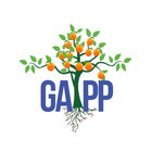GAPP APP - Honey Bun Foundatio icône