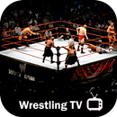 Wrestling Tv: Latest Wrestling Videos APK