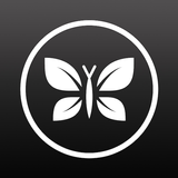 The Honest Company 아이콘