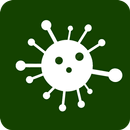APK 코로나19 바이러스 현황판