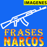 Frases de Narcos icono