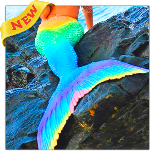 Mermaid Wallpapers Images