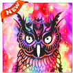 Owls Wallpapers
