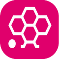 Honista Android clue App