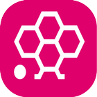 Honista Android clue App biểu tượng