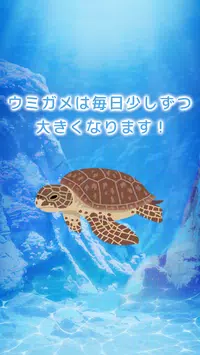 ウミガメ育成ゲーム かわいい癒しのアプリ Apk For Android Download