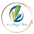 Thái Hưng
