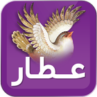 عطار أيقونة