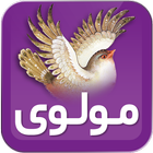 مولانا (مولوی ـ دیوان شمس) أيقونة
