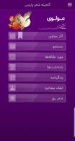 مولانا (مولوی ـ دیوان شمس) الملصق