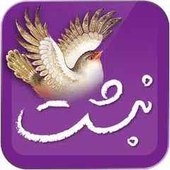 نبشت (حافظ فردوسی مولانا سعدی  APK download