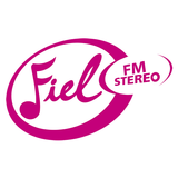 Stereo Fiel icon