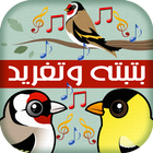 بتبته حسون ستستة وتغريد الحسون - HASSOUN Zeichen