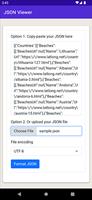 JSON Viewer & Formatter تصوير الشاشة 1