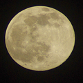 Moon Wallpaper