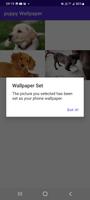 Puppy Wallpaper syot layar 1