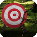 Bow and arrows aplikacja