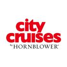 City Cruises icône