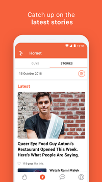 Hornet apk