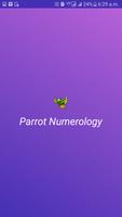 Parrot Numerology poster